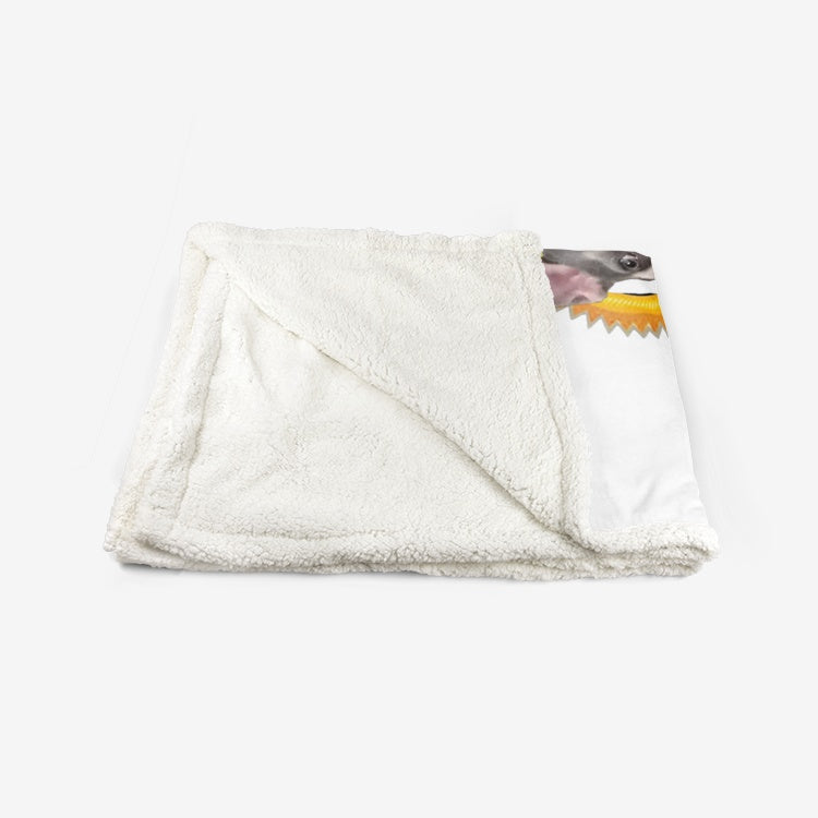 FRENCH CONNECTION Grizelda Blanko Frenchie Double-Sided Super Soft Plush Blanket